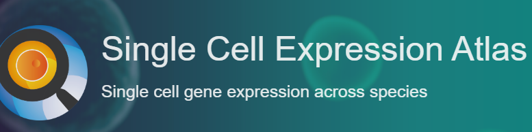 Single Cell Expression Atlas logo