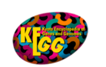 KEGG logo